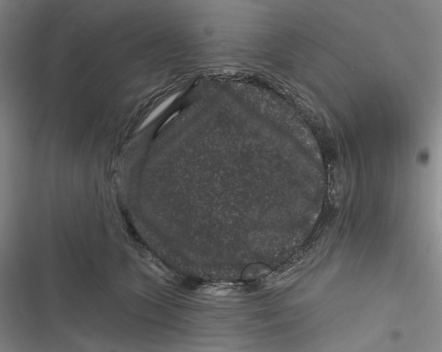 X0000116870563201001121304