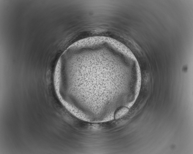 X0000116870565201001121304