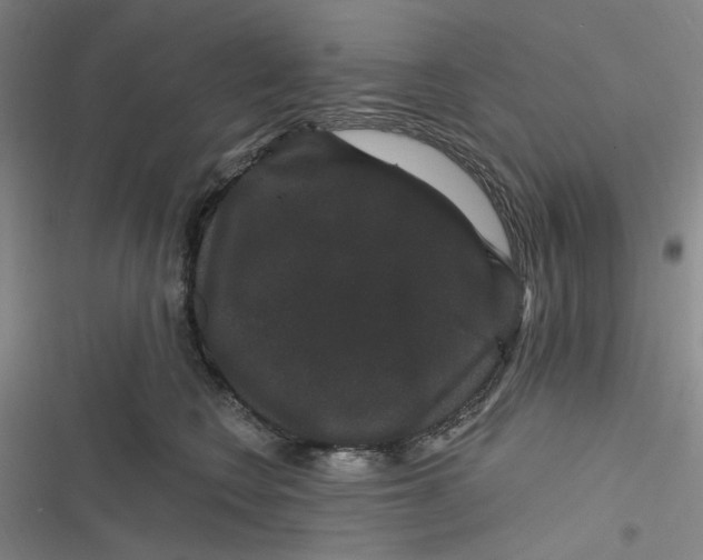 X0000116870566201001121304