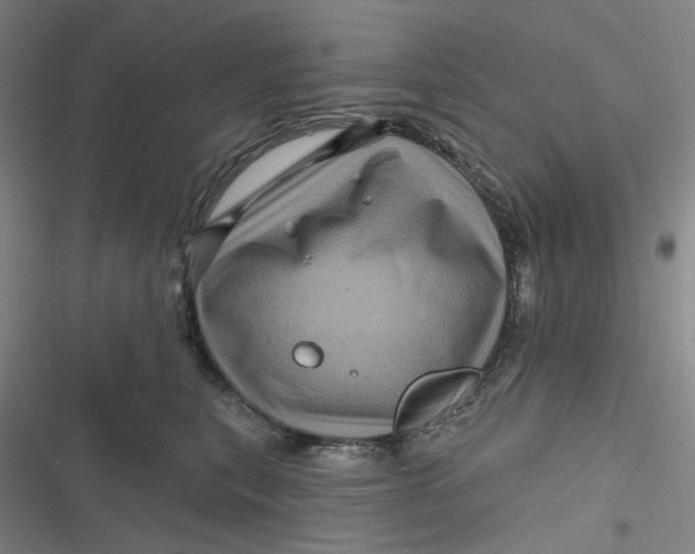 X0000116870567201001121304