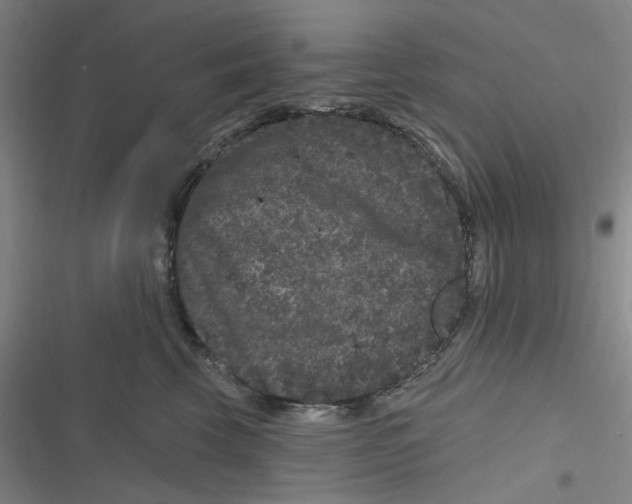 X0000116870569201001121304