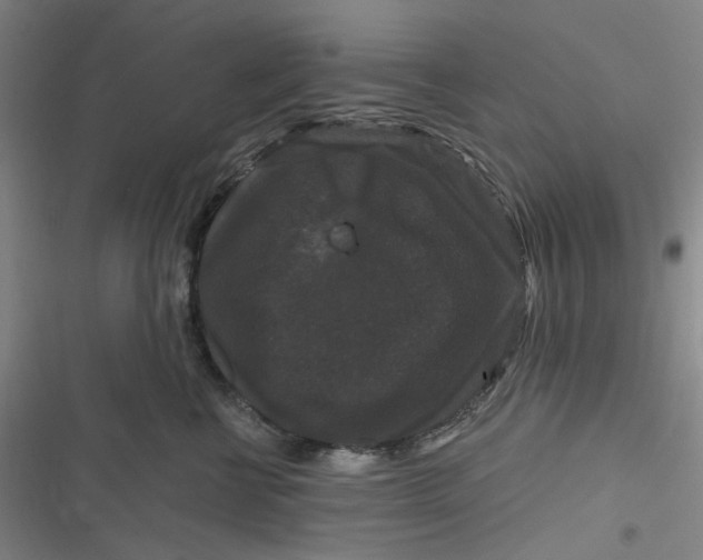 X0000116870570201001121304