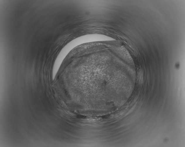 X0000116870571201001121304