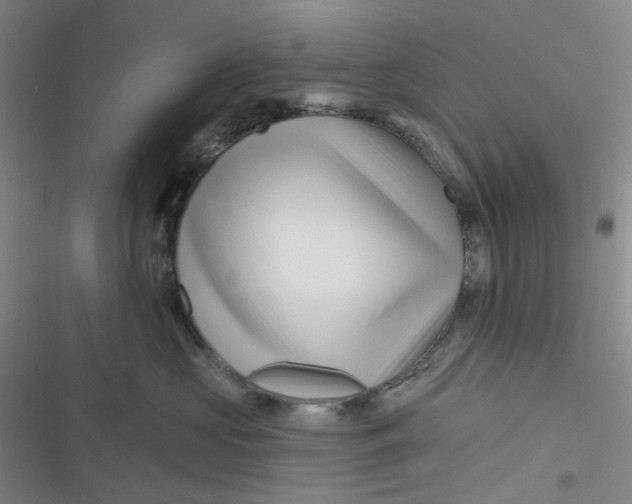 X0000116870573201001121304