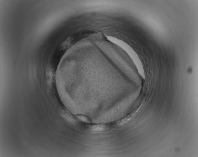 X0000116870574201001121304