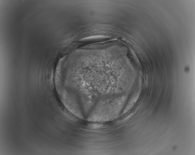 X0000116870575201001121304