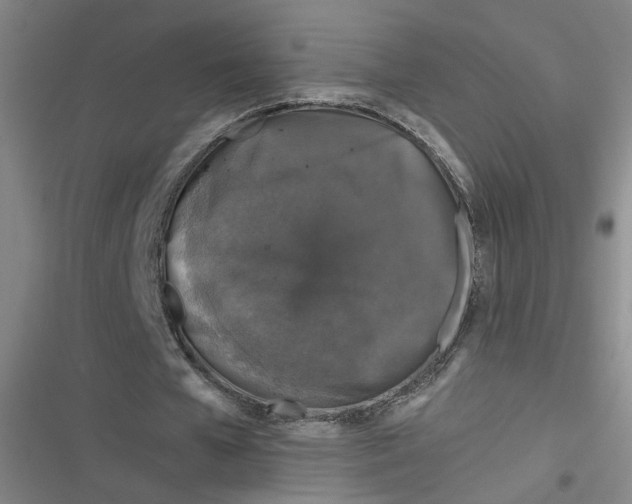 X0000116870577201001121303