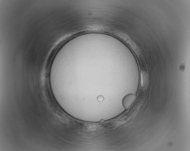 X0000116870579201001121303