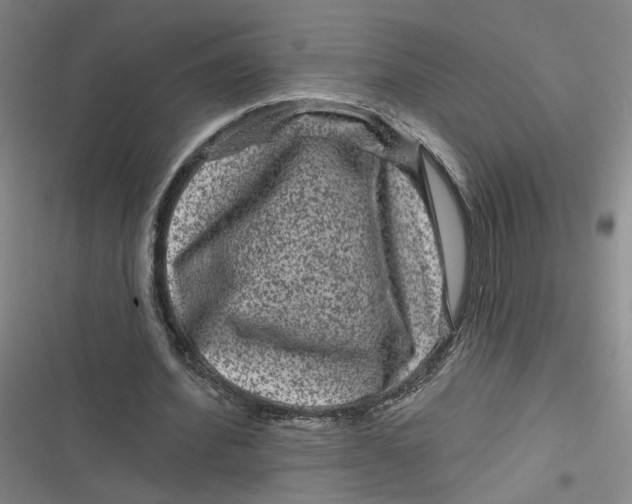 X0000116870580201001121303