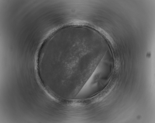 X0000116870581201001121303