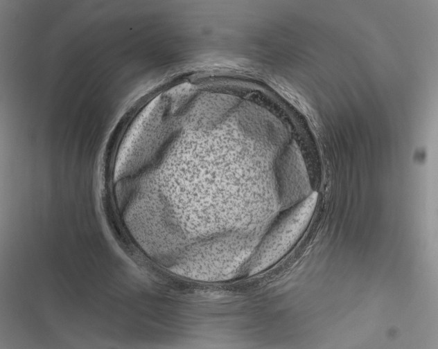 X0000116870582201001121303