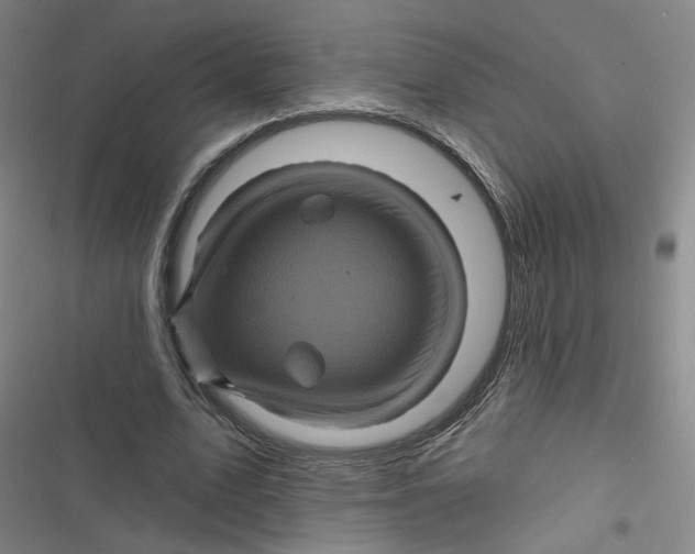 X0000116870583201001121303