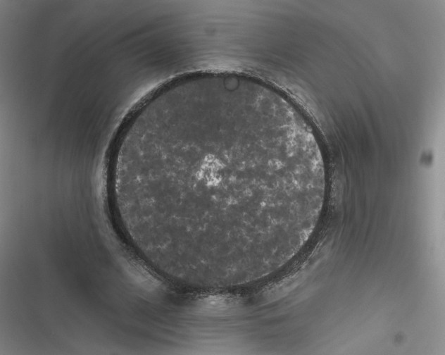 X0000116870584201001121303