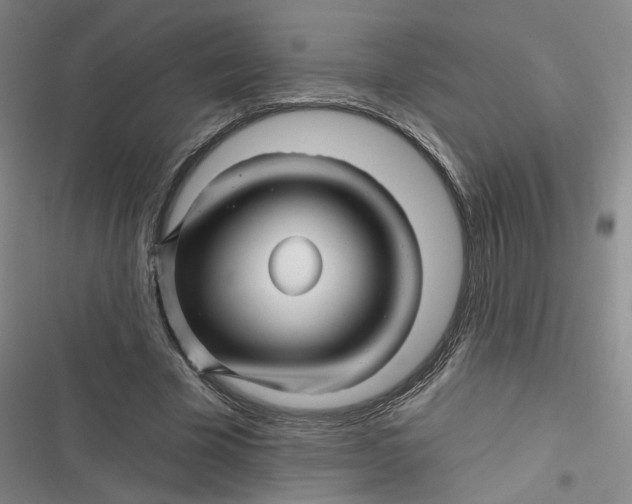 X0000116870585201001121303