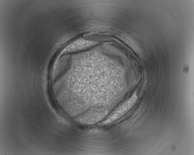 X0000116870586201001121303