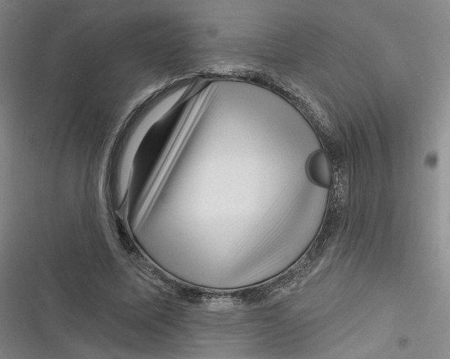 X0000116870587201001121303