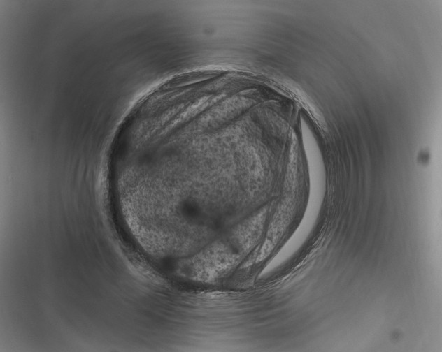 X0000116870588201001121303