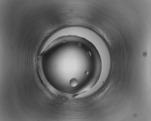 X0000116870589201001121303