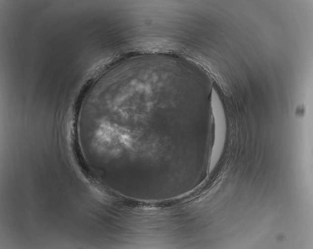 X0000116870590201001121303