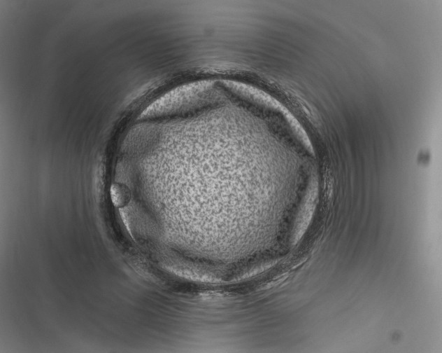 X0000116870591201001121303