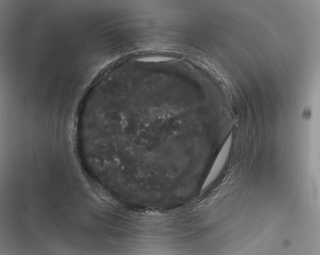 X0000116870592201001121303