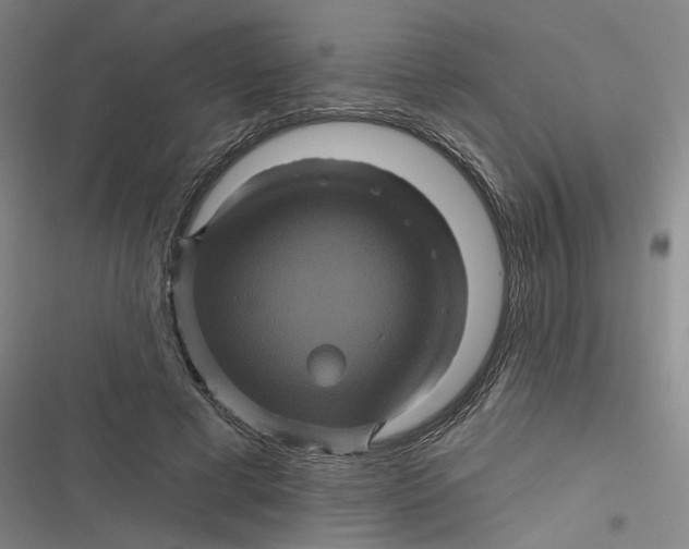 X0000116870593201001121303