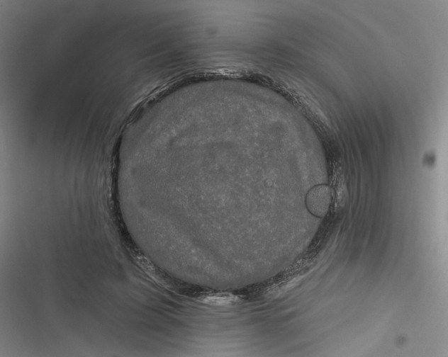 X0000116870595201001121303