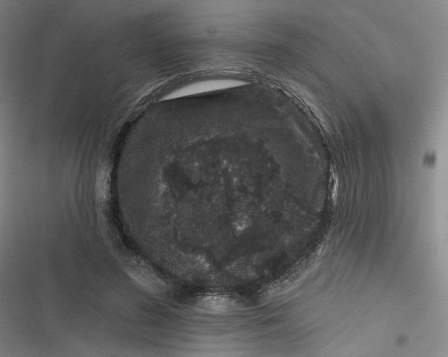 X0000116870596201001121303