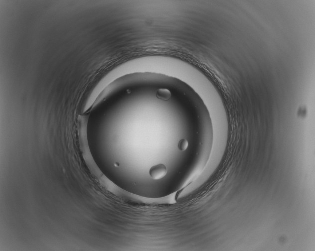 X0000116870597201001121303