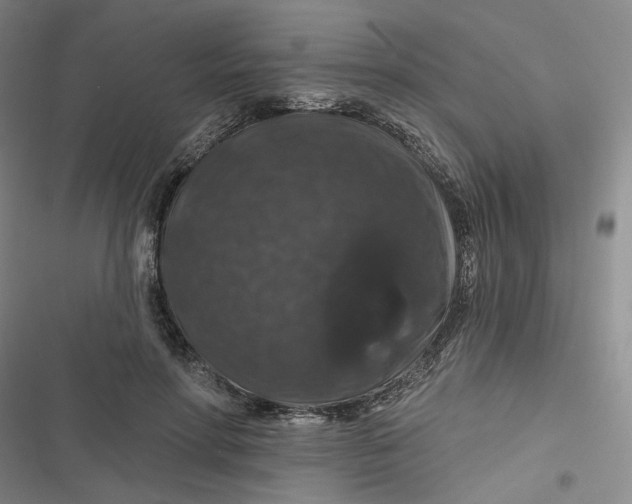 X0000116870598201001121303