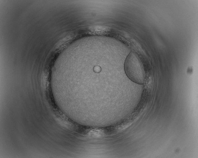 X0000116870599201001121303