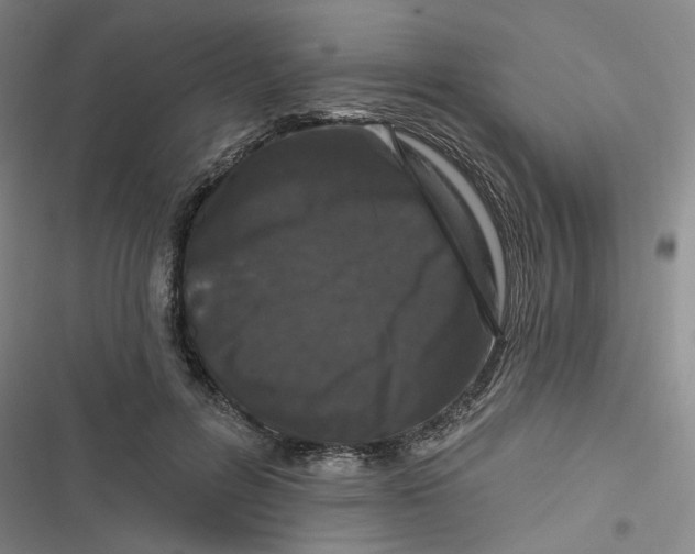 X0000116870600201001121303