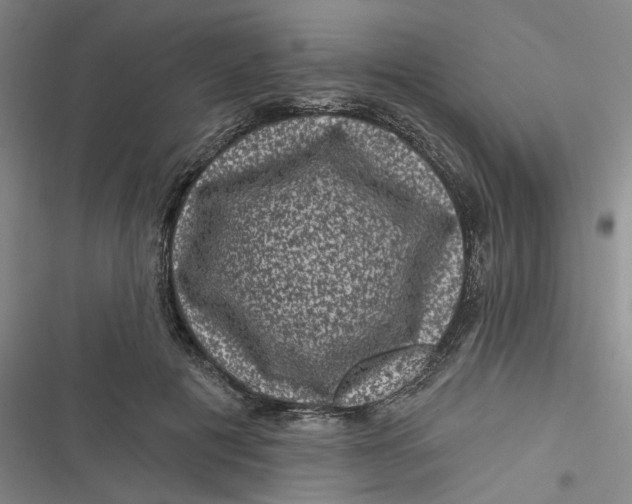 X0000116870601201001121303