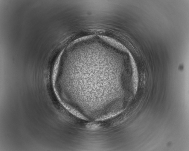 X0000116870602201001121303