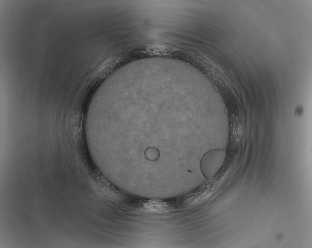 X0000116870603201001121303