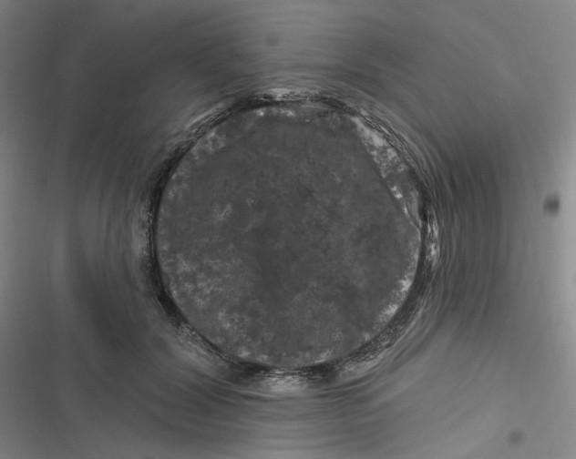 X0000116870604201001121303