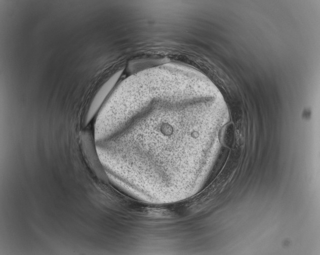 X0000116870605201001121303