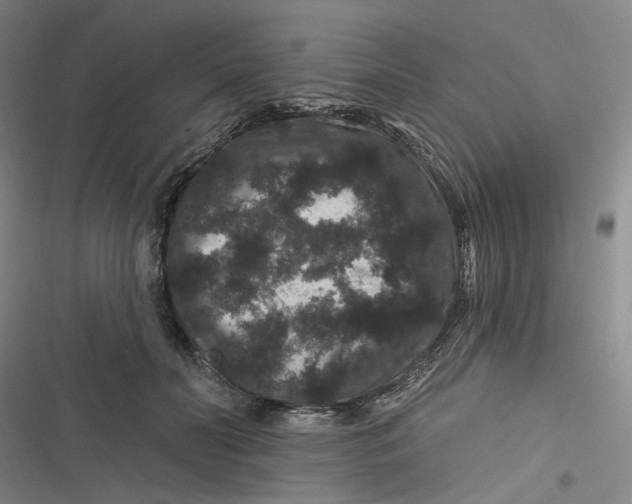 X0000116870606201001121303