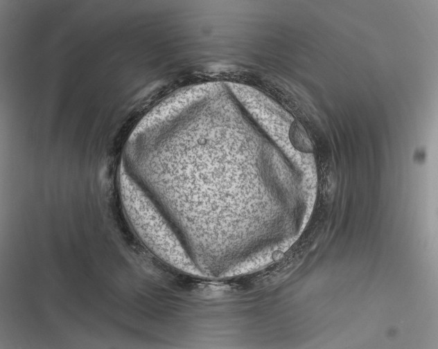 X0000116870607201001121303