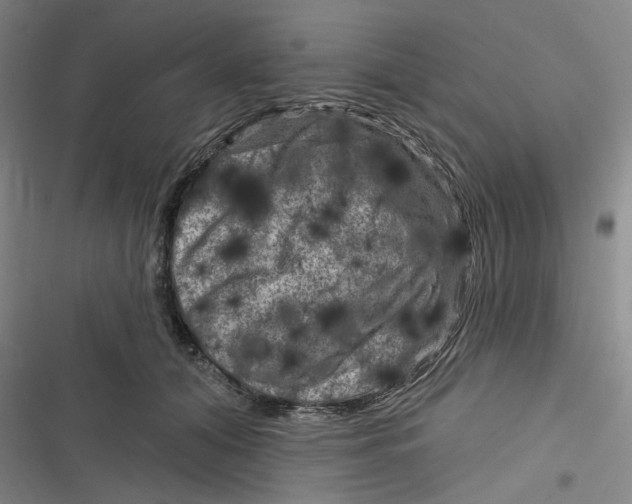 X0000116870608201001121303