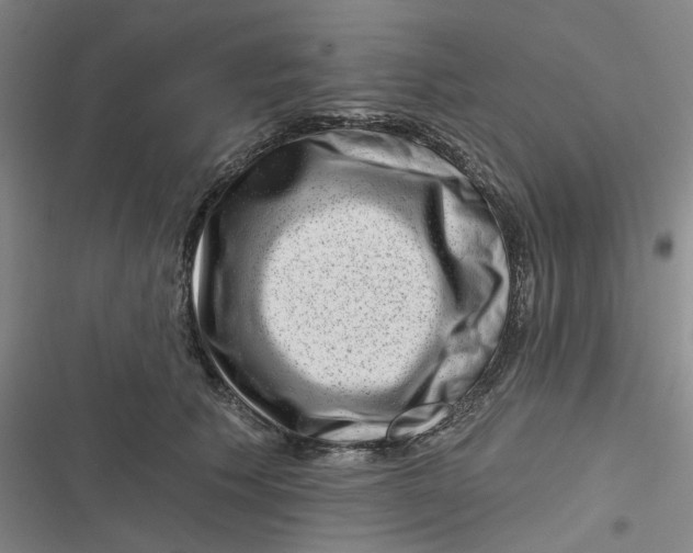 X0000116870609201001121303