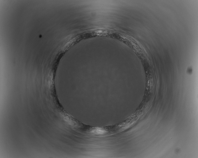 X0000116870610201001121303