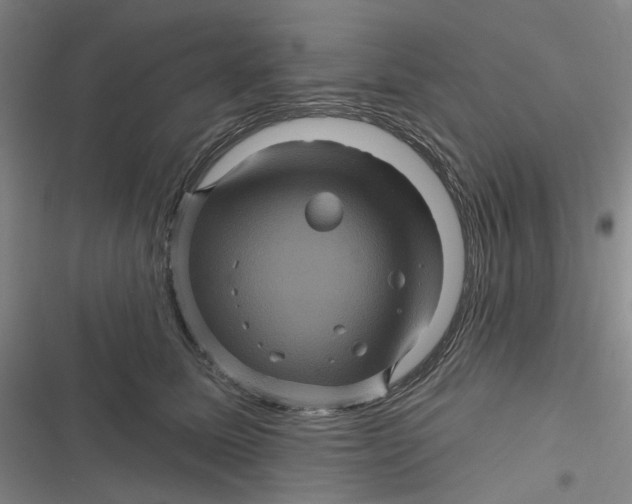 X0000116870611201001121303