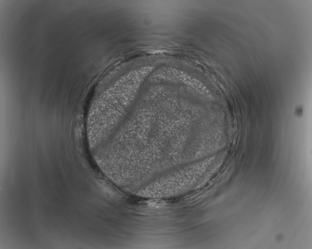 X0000116870612201001121303