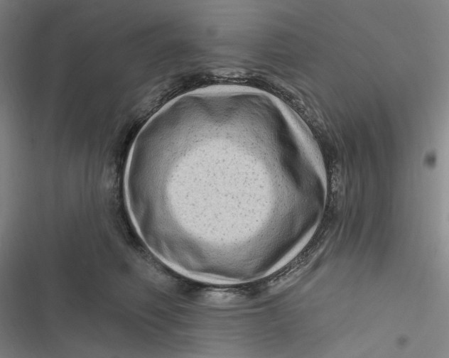 X0000116870614201001121303