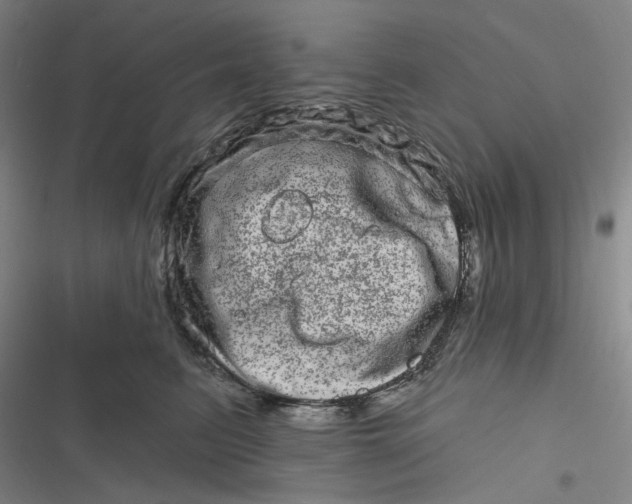 X0000116870615201001121303