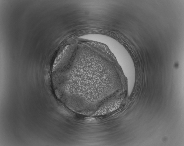 X0000116870616201001121303