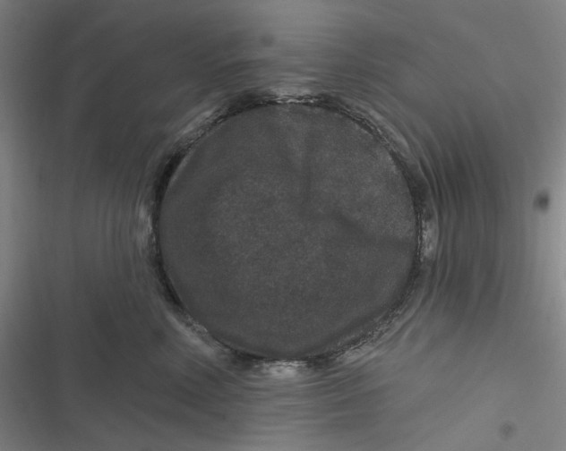 X0000116870618201001121303