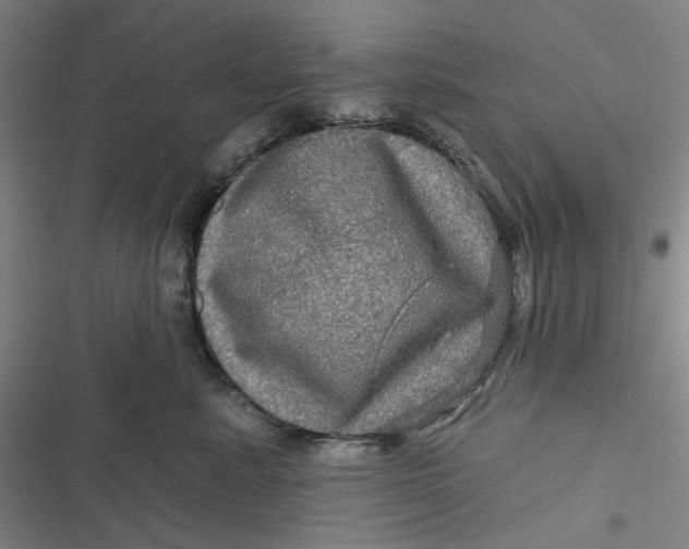 X0000116870619201001121303