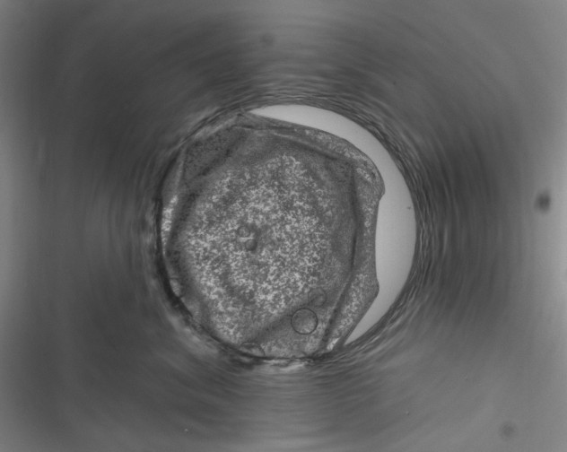 X0000116870620201001121303